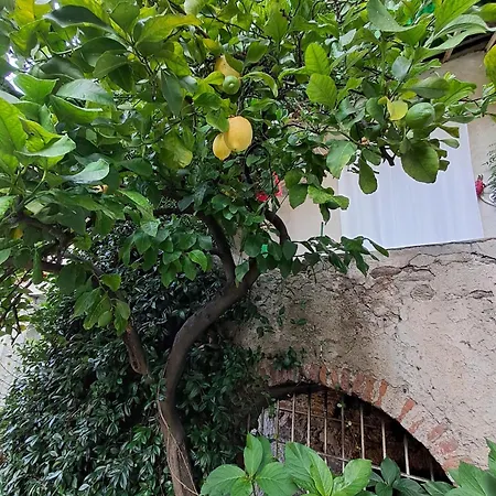 Frühstückspension Nonna Anita Castelveccana