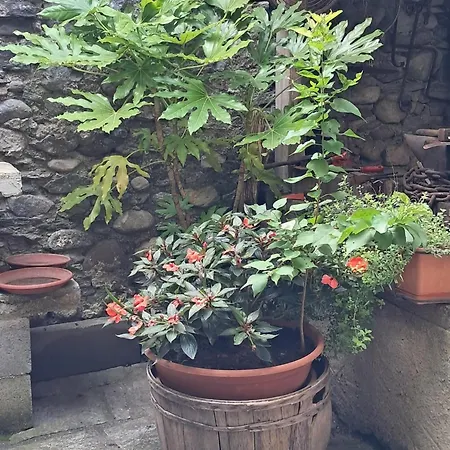 Nonna Anita *