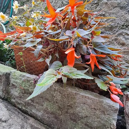 Nonna Anita Frühstückspension Castelveccana