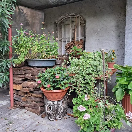 Nonna Anita * Castelveccana